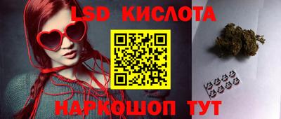 ПСИЛОЦИБИНОВЫЕ ГРИБЫ Бийск
