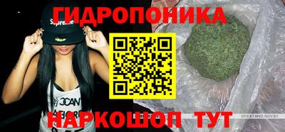 ПСИЛОЦИБИНОВЫЕ ГРИБЫ Бийск
