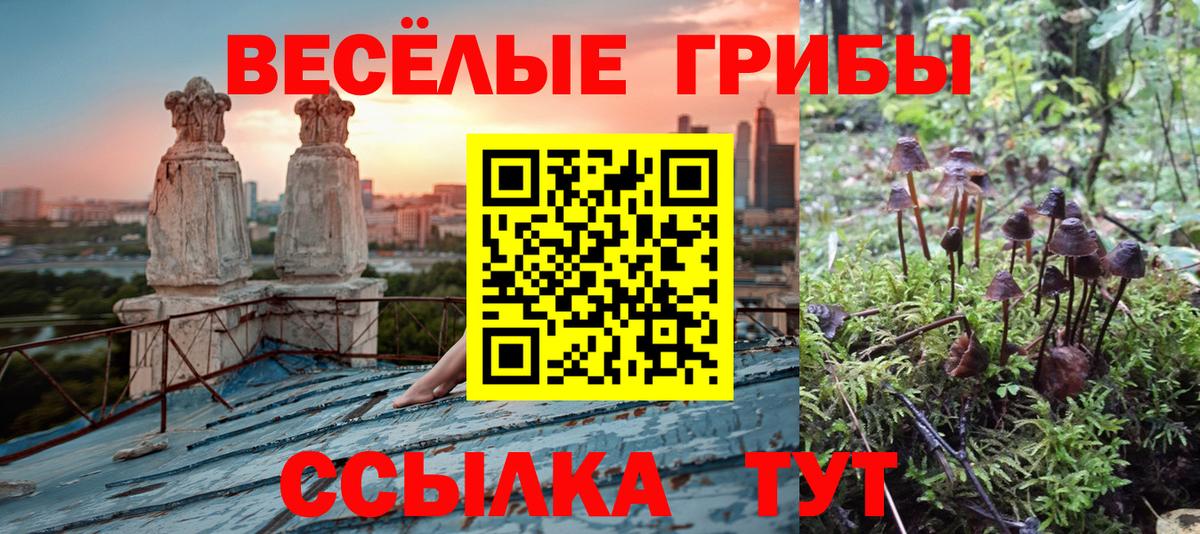 Галлюциногенные грибы мицелий  Вход с VPN  Карпинск 
