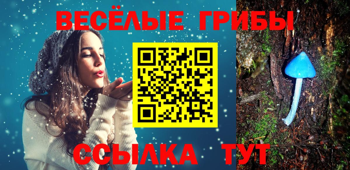 Псилоцибиновые грибы Cubensis Карпинск